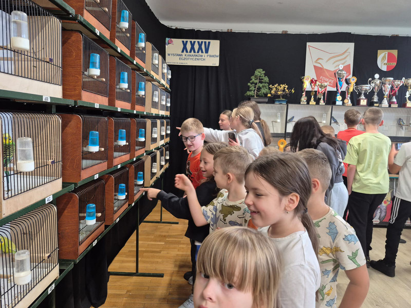 Zdjcie WhatsApp 2025-10-17 o 12.58.17 a99514f2