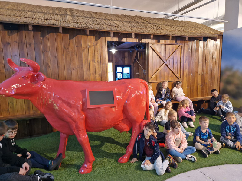 Zdjcie WhatsApp 2025-10-30 o 19.47.27 adc4d710